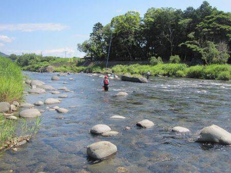 狩野川(狩野川漁業協同組合) 釣果
