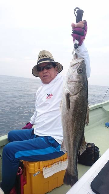 気仙沼　つり丸 釣果