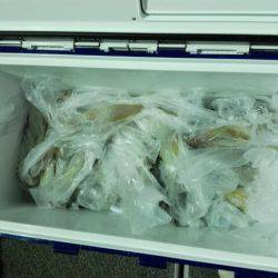 第二大福丸 釣果