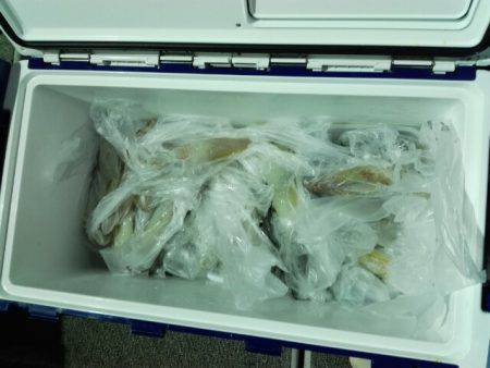 第二大福丸 釣果