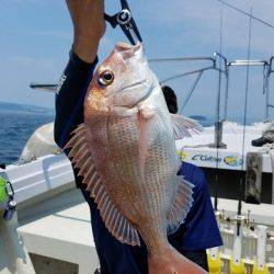 遊漁船 ニライカナイ 釣果