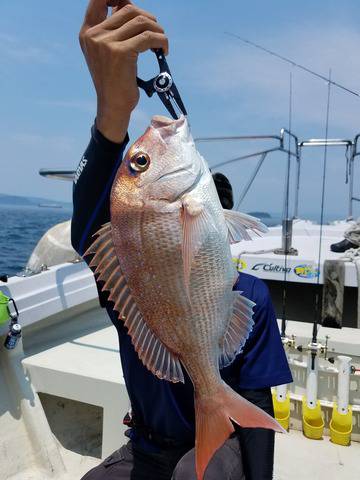 遊漁船 ニライカナイ 釣果