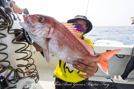 Marine Frog 釣果