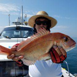 遊漁船 ニライカナイ 釣果