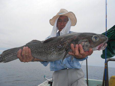 こうゆう丸 釣果