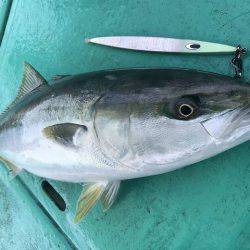 広進丸 釣果