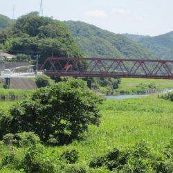 狩野川(狩野川漁業協同組合) 釣果