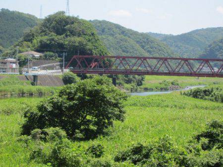 狩野川(狩野川漁業協同組合) 釣果