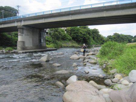 狩野川(狩野川漁業協同組合) 釣果
