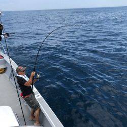 へいみつ丸 釣果