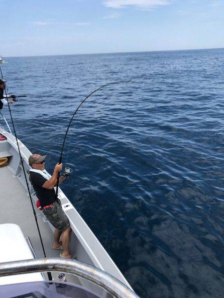 へいみつ丸 釣果