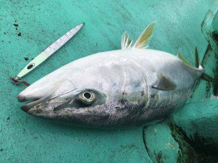 広進丸 釣果