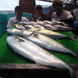カタタのつり堀 釣果