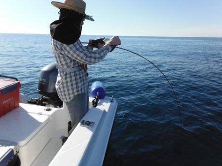 開進丸 釣果