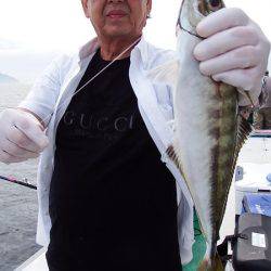 第三むつりょう丸 釣果