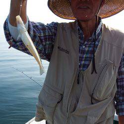 第三むつりょう丸 釣果