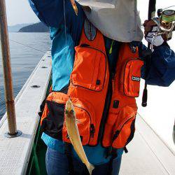 第三むつりょう丸 釣果