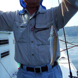 第三むつりょう丸 釣果