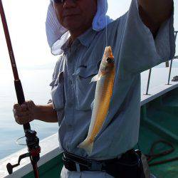 第三むつりょう丸 釣果