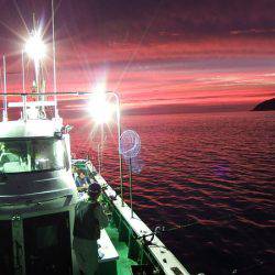 第三むつりょう丸 釣果