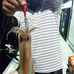 第三むつりょう丸 釣果