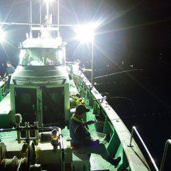 第三むつりょう丸 釣果