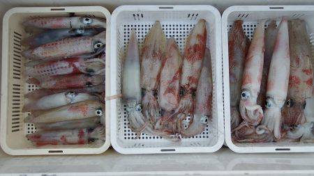 第三むつりょう丸 釣果