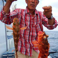 第三むつりょう丸 釣果