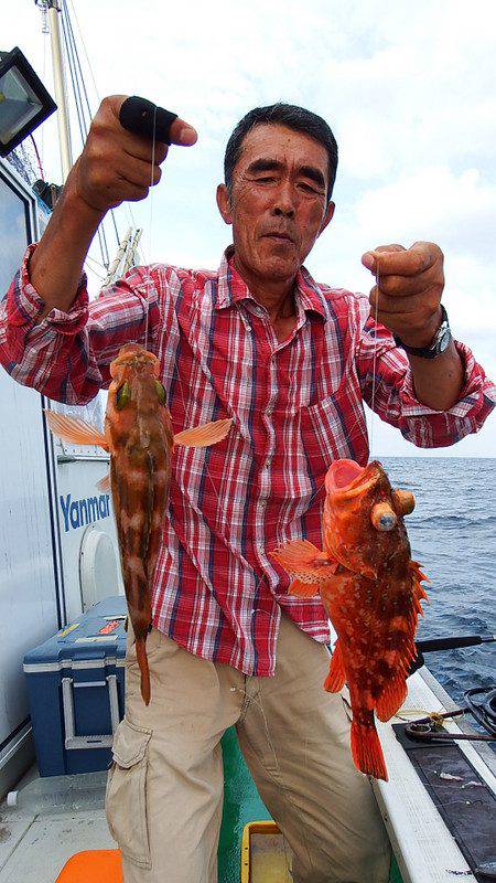 第三むつりょう丸 釣果