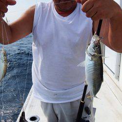 第三むつりょう丸 釣果