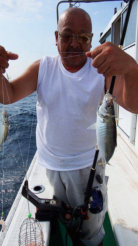 第三むつりょう丸 釣果