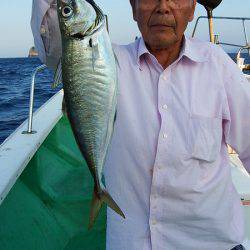 第三むつりょう丸 釣果