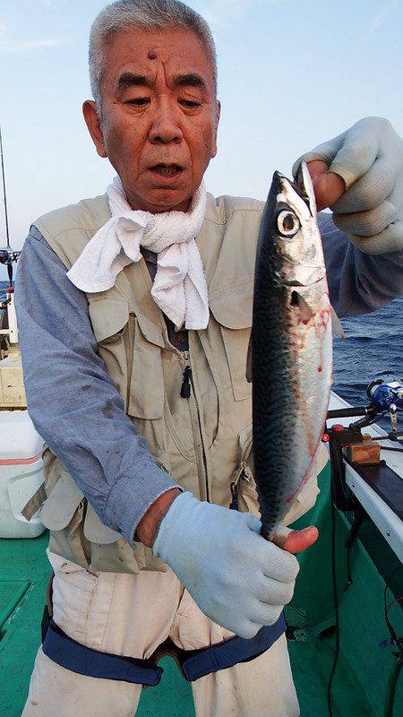 第三むつりょう丸 釣果