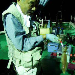 第三むつりょう丸 釣果