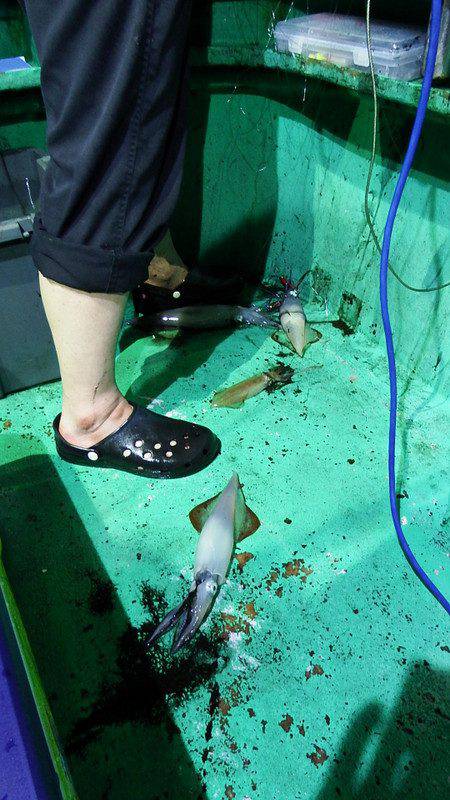 第三むつりょう丸 釣果