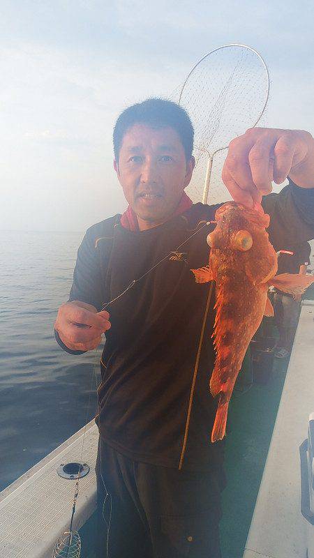 第三むつりょう丸 釣果