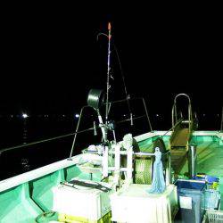 第三むつりょう丸 釣果