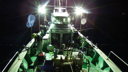 第三むつりょう丸 釣果