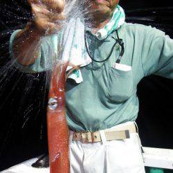 第三むつりょう丸 釣果