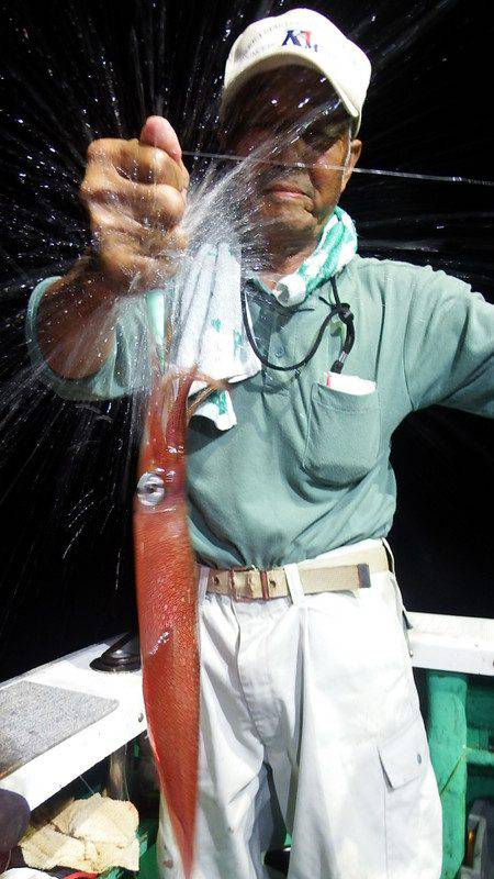 第三むつりょう丸 釣果