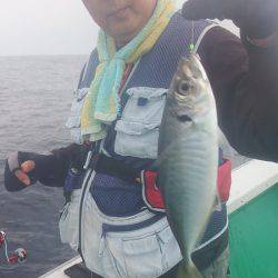 第三むつりょう丸 釣果