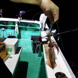 第三むつりょう丸 釣果