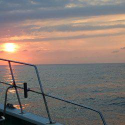 第三むつりょう丸 釣果