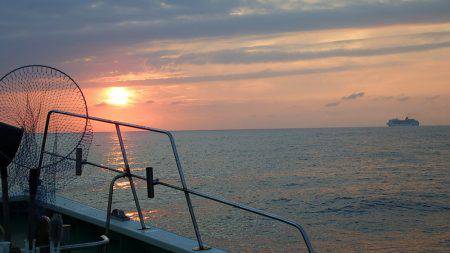 第三むつりょう丸 釣果