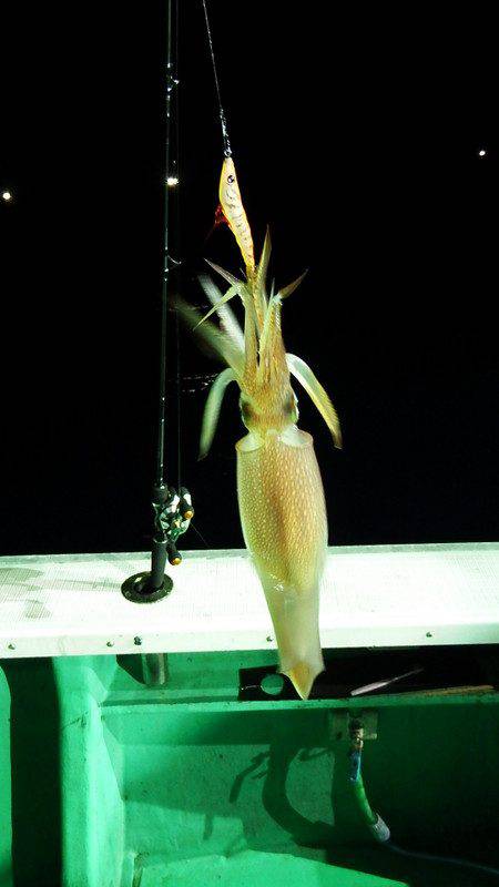 第三むつりょう丸 釣果