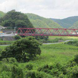 狩野川(狩野川漁業協同組合) 釣果