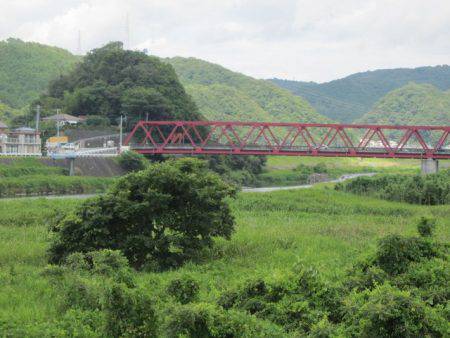 狩野川(狩野川漁業協同組合) 釣果