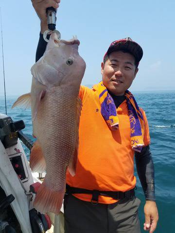 遊漁船　ニライカナイ 釣果