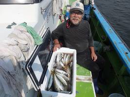 久里浜黒川本家 釣果