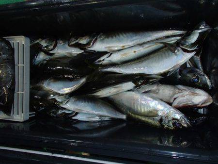 第二むつ漁丸 釣果